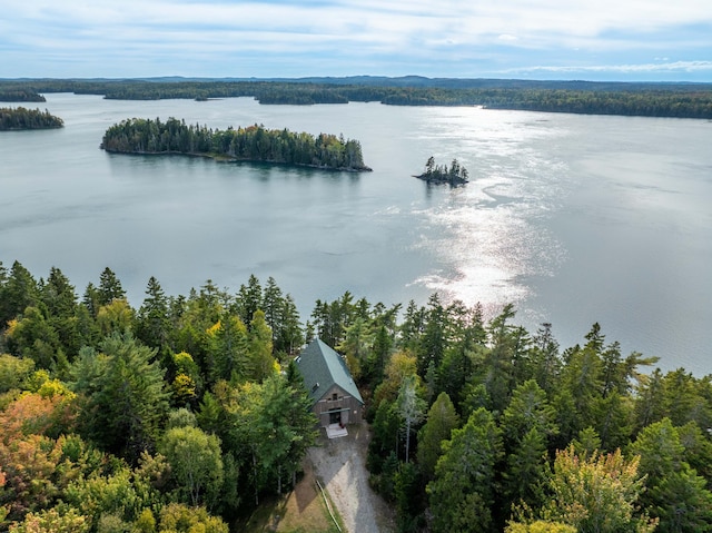 birds eye view of property with a water view and a wooded view