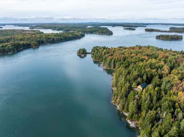 drone / aerial view featuring a water view and a wooded view