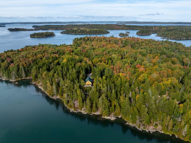 drone / aerial view with a water view and a wooded view