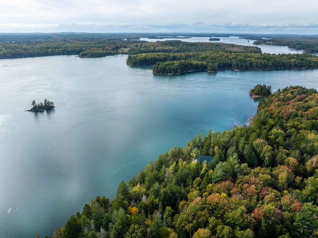 birds eye view of property with a water view and a forest view