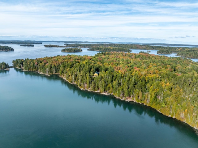 bird's eye view with a water view and a wooded view