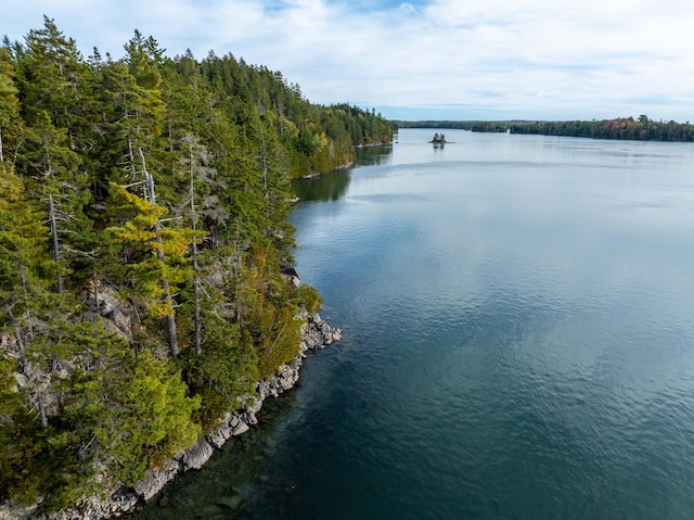 property view of water featuring a view of trees