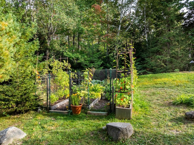 view of yard featuring a garden