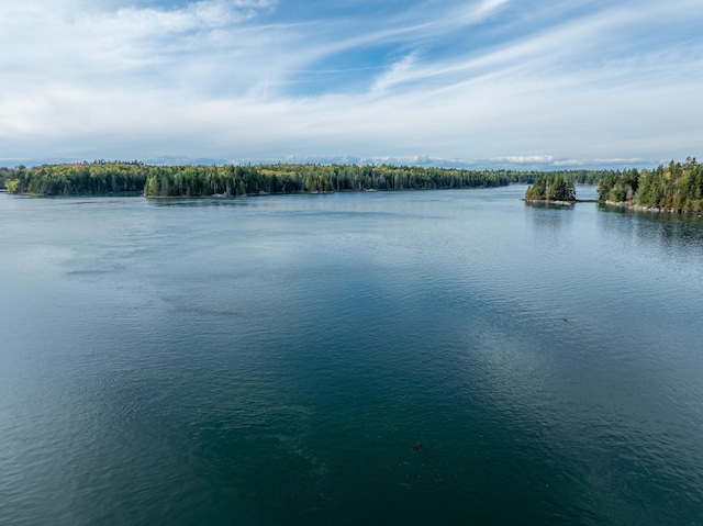 property view of water