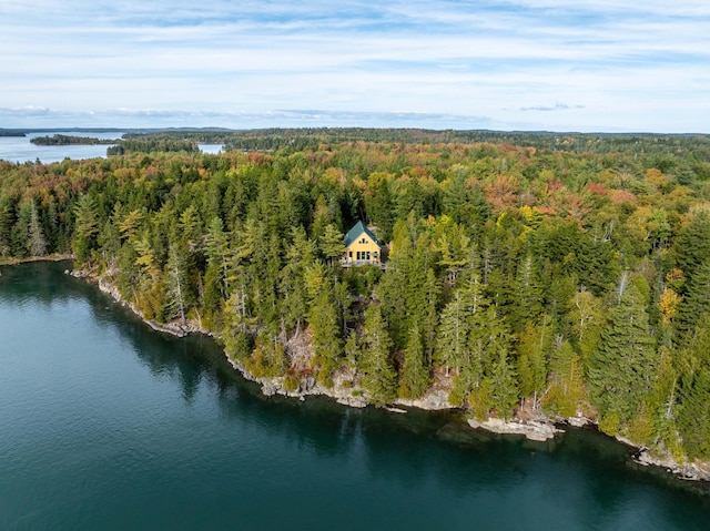 bird's eye view with a water view and a wooded view