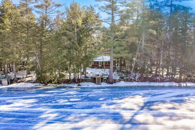 view of yard layered in snow