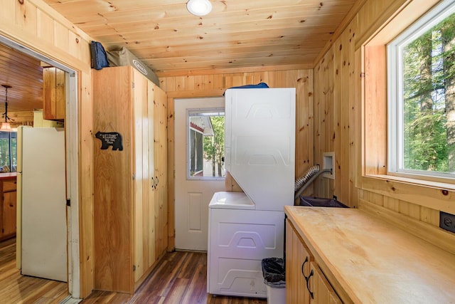 laundry area with wooden ceiling, wooden walls, cabinet space, and wood finished floors