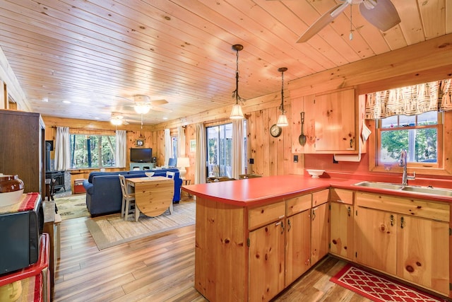 kitchen featuring a sink, light wood-style floors, a wealth of natural light, and ceiling fan