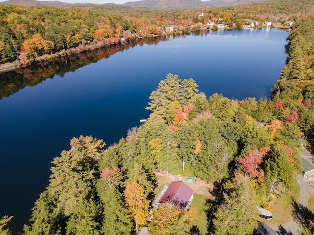 aerial view featuring a forest view and a water view