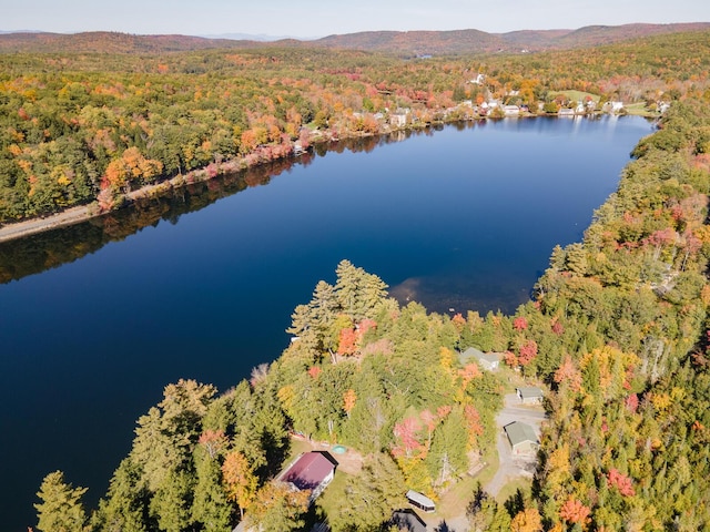 bird's eye view featuring a wooded view and a water view