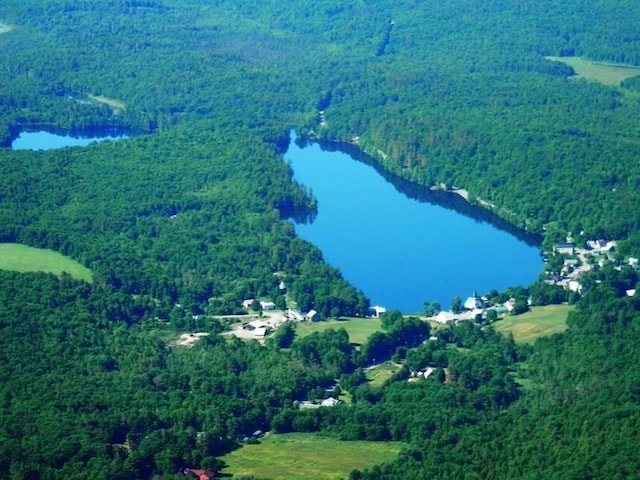 birds eye view of property featuring a wooded view and a water view