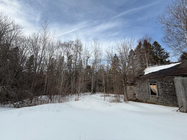 view of yard covered in snow