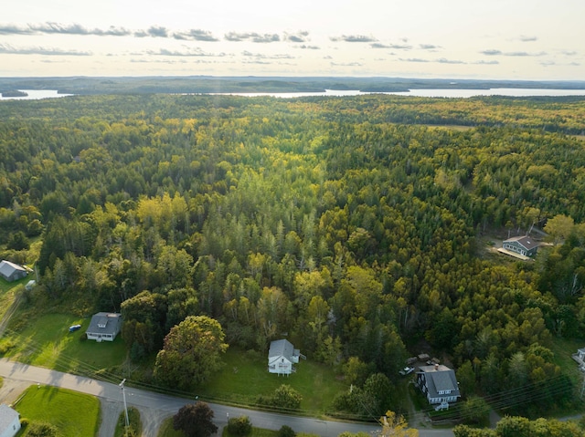 aerial view with a water view and a wooded view