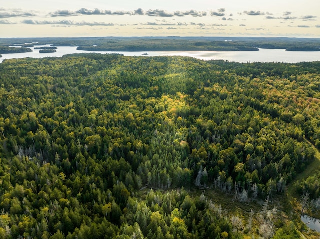 birds eye view of property featuring a water view and a view of trees