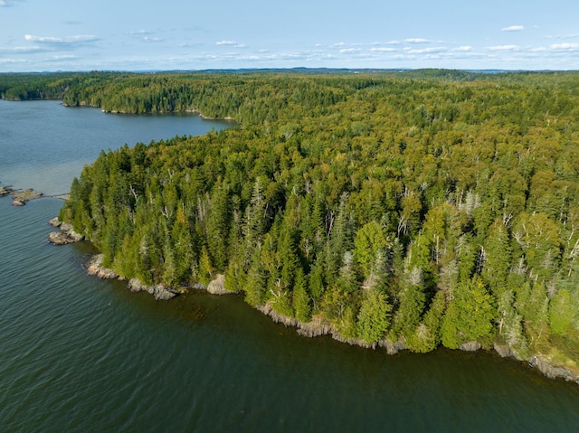 drone / aerial view with a water view and a wooded view