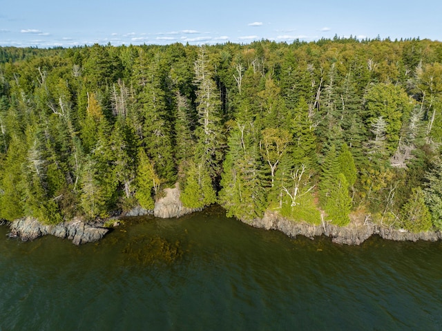 aerial view featuring a forest view