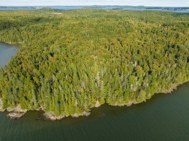 birds eye view of property featuring a water view and a view of trees