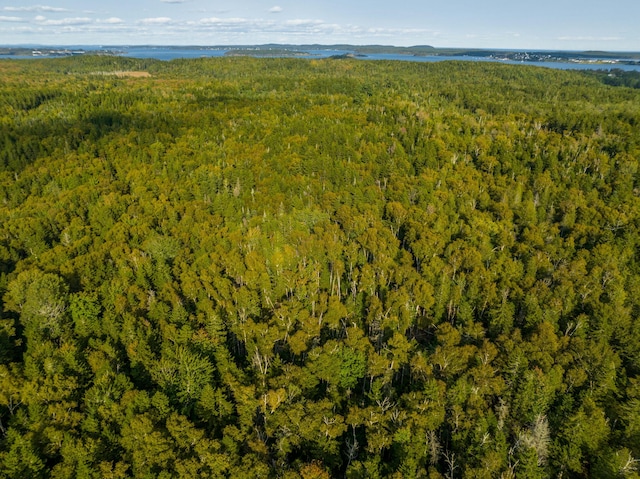 bird's eye view with a view of trees