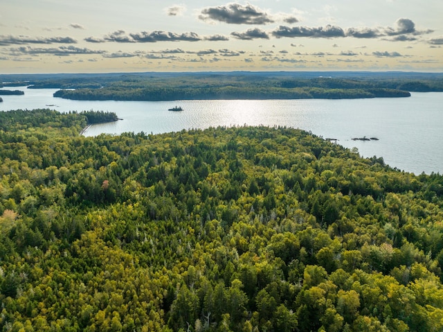 aerial view with a water view and a wooded view