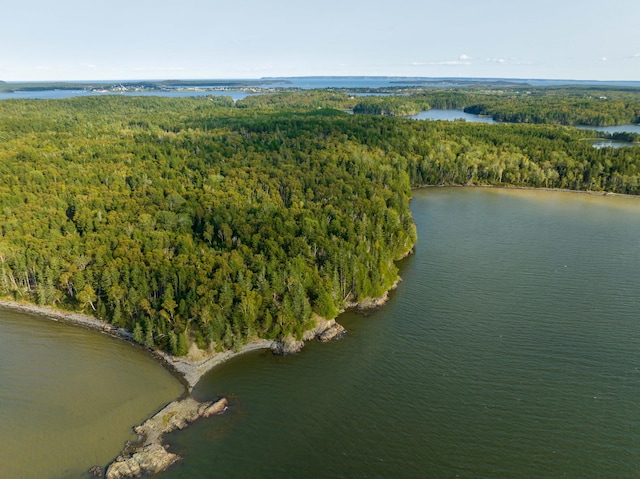 aerial view with a water view and a forest view