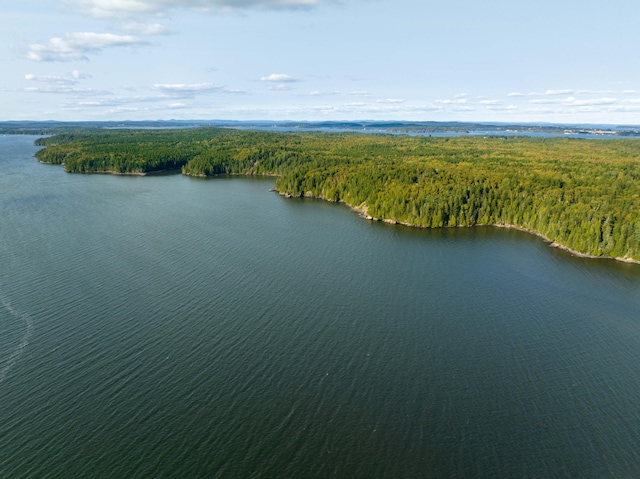 bird's eye view featuring a water view and a view of trees