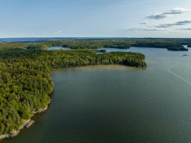 bird's eye view with a water view and a wooded view