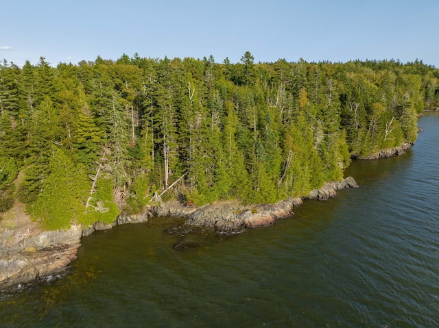 birds eye view of property featuring a water view and a forest view