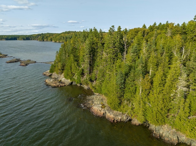 drone / aerial view with a water view and a view of trees