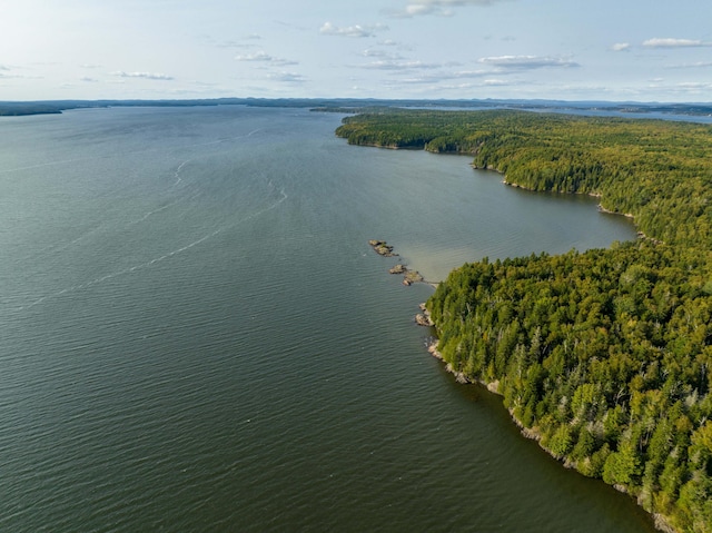 bird's eye view featuring a water view and a forest view