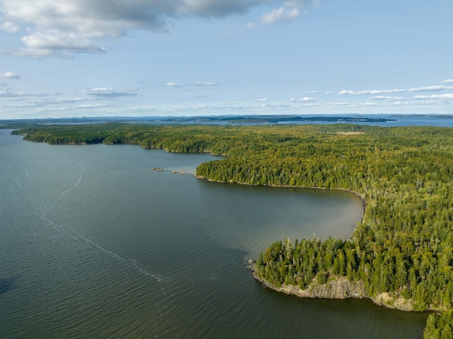 aerial view featuring a water view and a wooded view