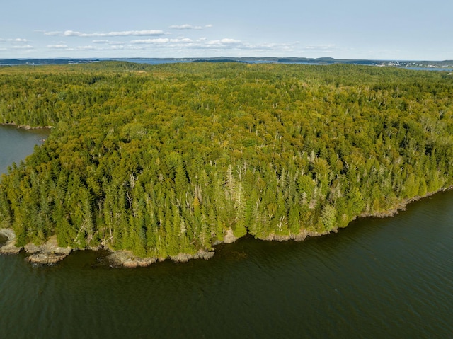 drone / aerial view featuring a water view and a view of trees