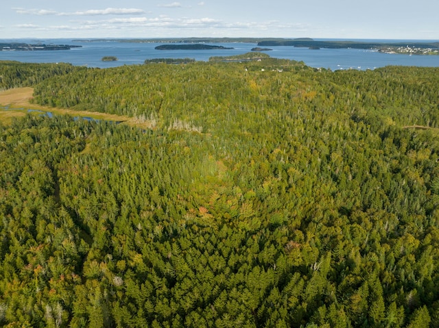 bird's eye view featuring a water view and a forest view