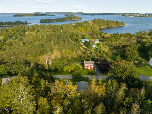 drone / aerial view with a water view and a wooded view