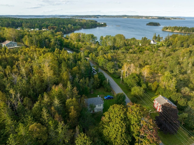 birds eye view of property featuring a water view and a view of trees