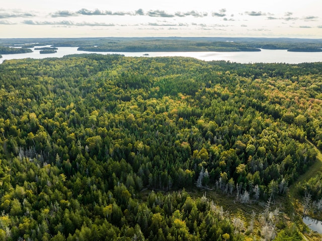 drone / aerial view featuring a water view and a wooded view