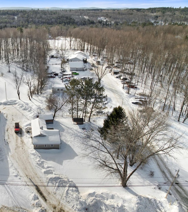 view of snowy aerial view