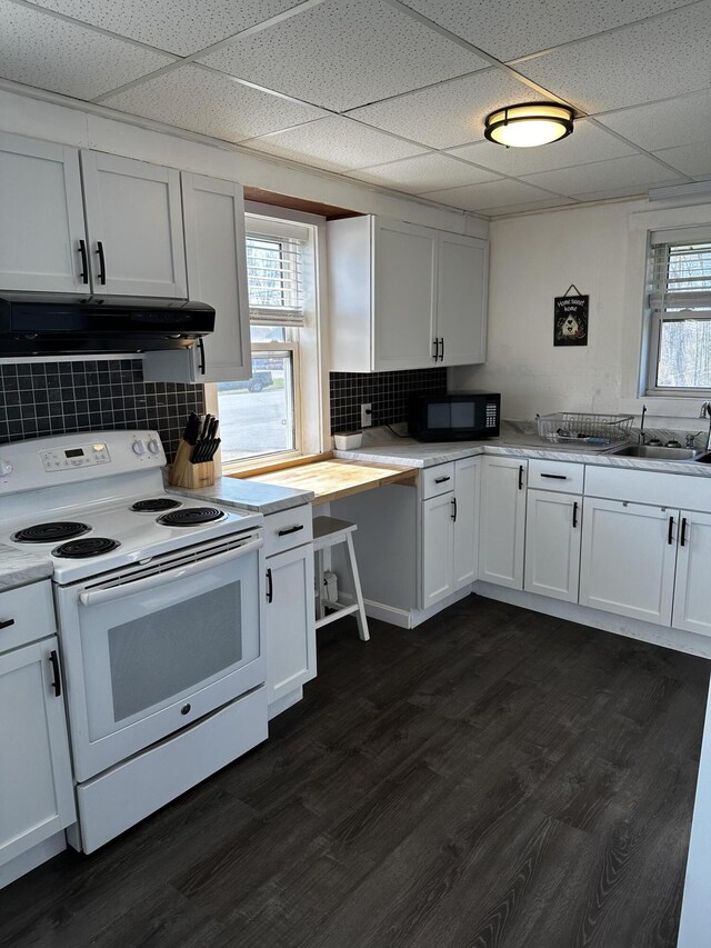 5 Pleasant View Ridge Rd, China, ME 04358 - kitchen with white electric range oven, a paneled ceiling, a sink, and black microwave