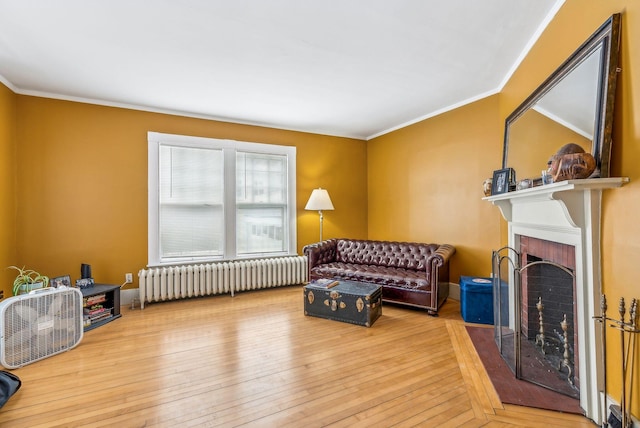 living area featuring ornamental molding, light wood-type flooring, a fireplace, and radiator heating unit