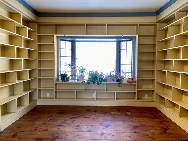 unfurnished room with dark wood-type flooring