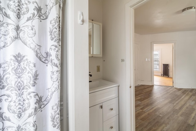 bathroom featuring a shower with shower curtain, vanity, baseboards, and wood finished floors