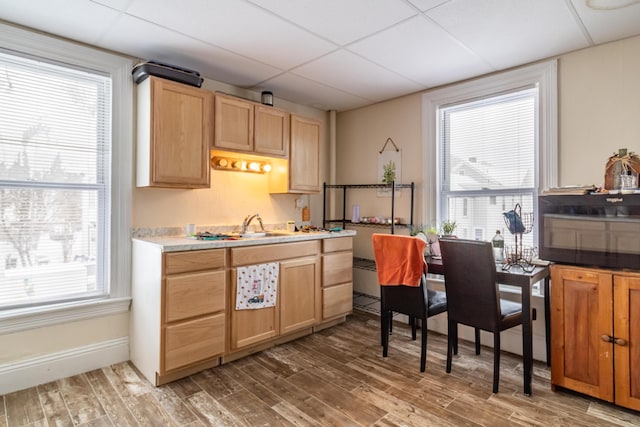 kitchen with a healthy amount of sunlight, a drop ceiling, wood finished floors, and light countertops