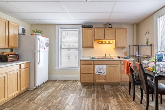 kitchen with a paneled ceiling, light countertops, wood finished floors, and freestanding refrigerator