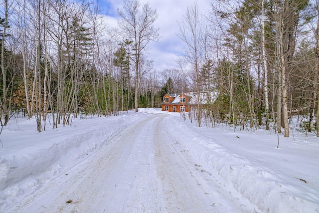 view of street with dirt driveway