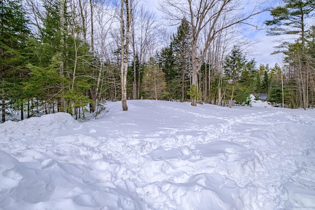 snowy yard featuring a view of trees