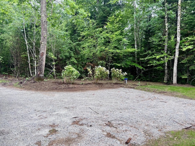 view of road featuring a wooded view