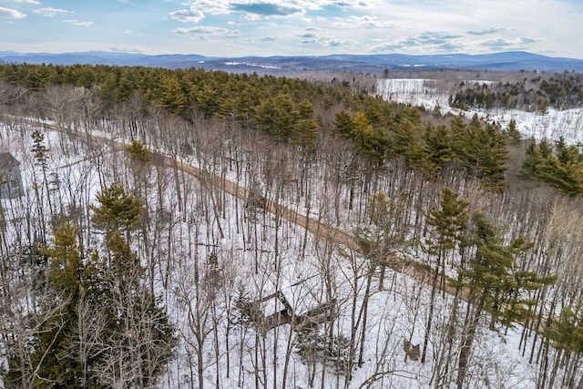 birds eye view of property with a mountain view and a wooded view