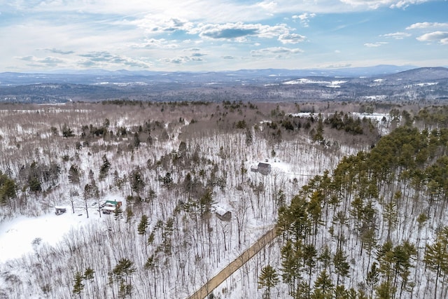 aerial view with a mountain view