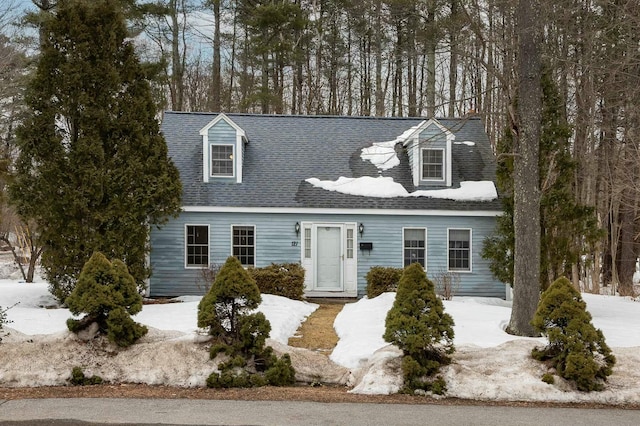 new england style home featuring roof with shingles