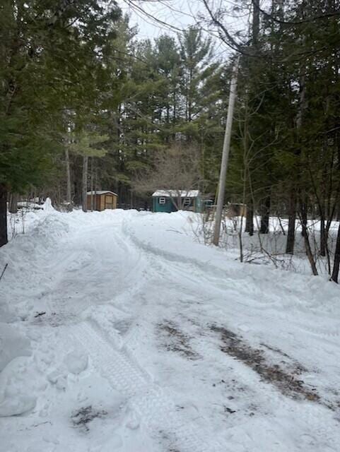 view of yard covered in snow