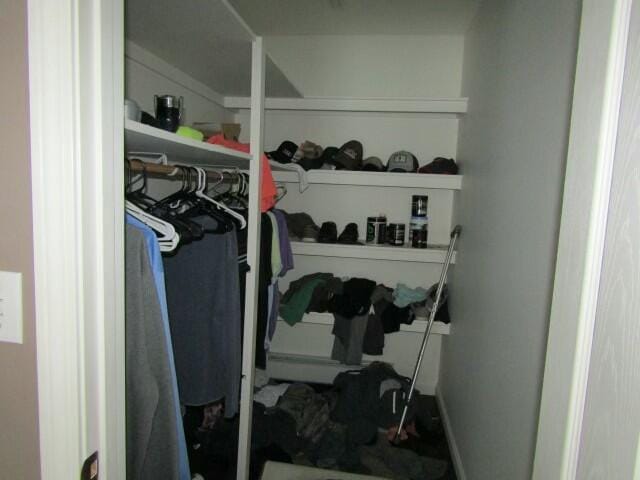 view of walk in closet